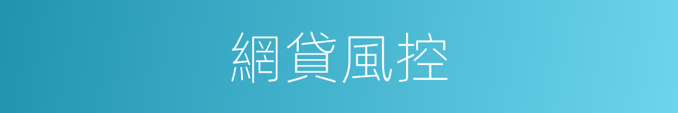 網貸風控的同義詞