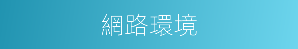 網路環境的同義詞