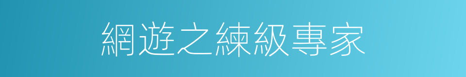 網遊之練級專家的同義詞