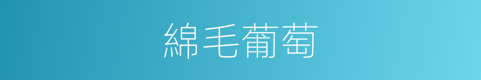 綿毛葡萄的同義詞