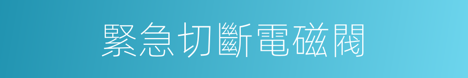 緊急切斷電磁閥的同義詞