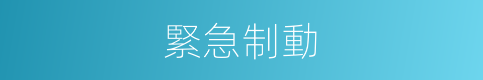 緊急制動的意思