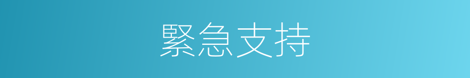 緊急支持的同義詞