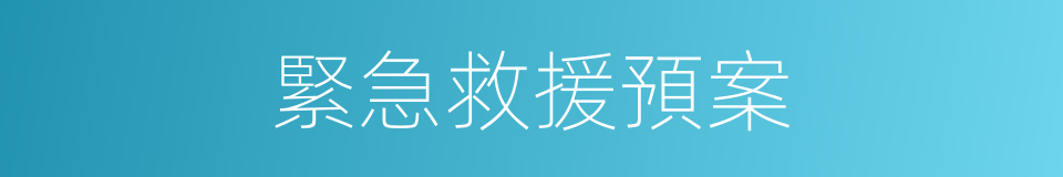 緊急救援預案的同義詞