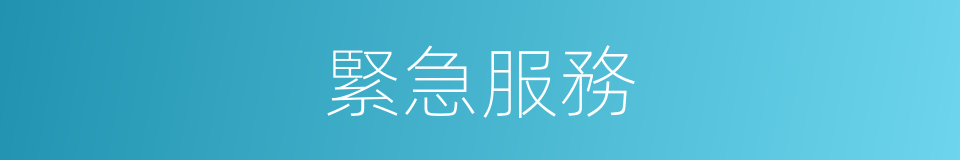 緊急服務的同義詞