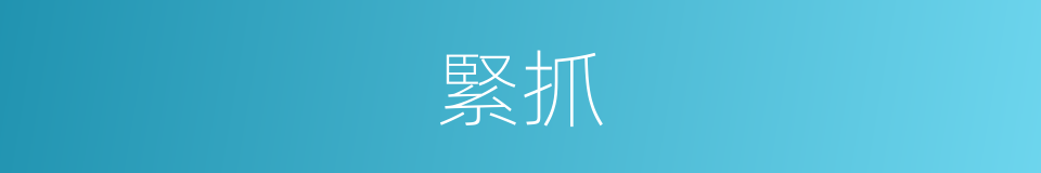 緊抓的意思