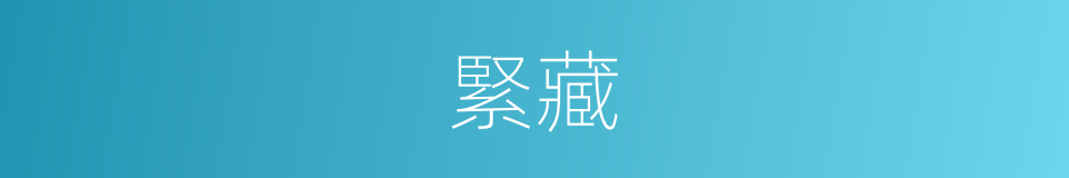 緊藏的同義詞