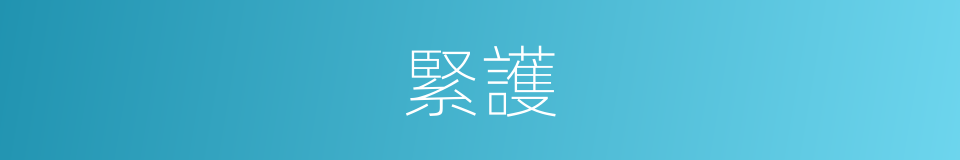 緊護的同義詞