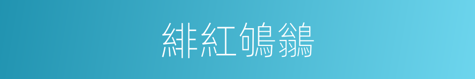 緋紅鴝鶲的同義詞