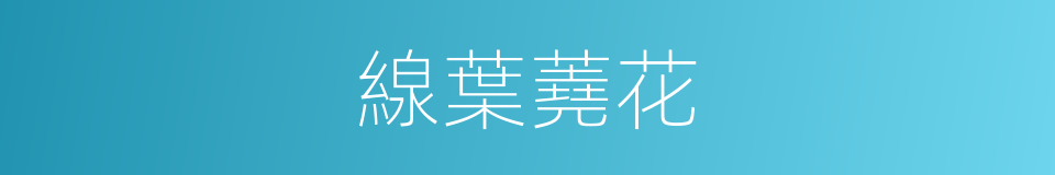 線葉蕘花的同義詞