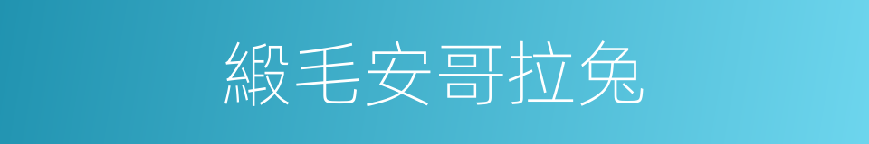 緞毛安哥拉兔的同義詞