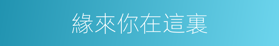 緣來你在這裏的同義詞