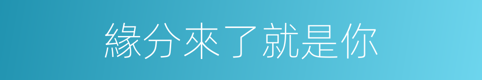 緣分來了就是你的同義詞