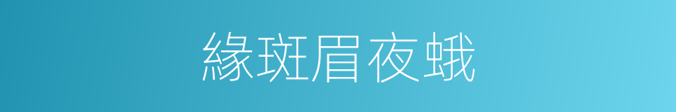 緣斑眉夜蛾的同義詞
