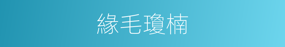 緣毛瓊楠的同義詞