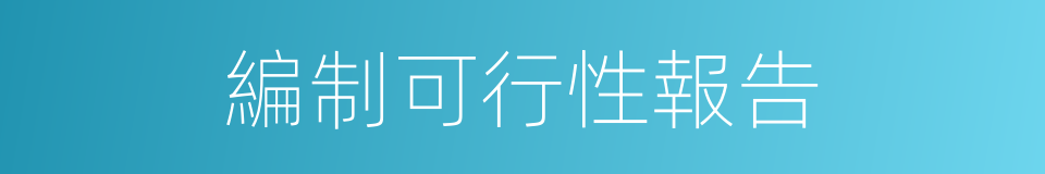 編制可行性報告的同義詞