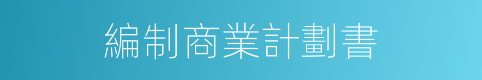 編制商業計劃書的同義詞