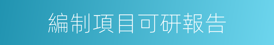 編制項目可研報告的同義詞