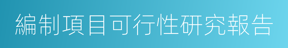 編制項目可行性研究報告的同義詞