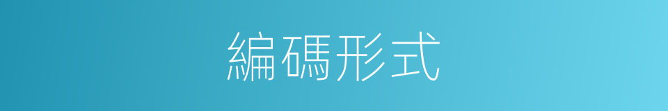 編碼形式的同義詞