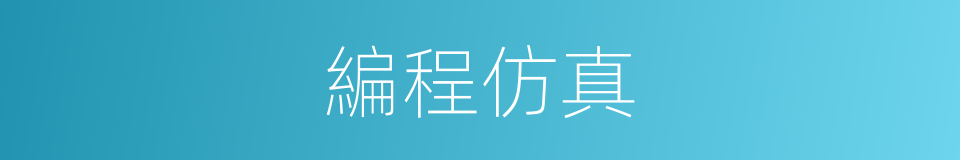 編程仿真的同義詞