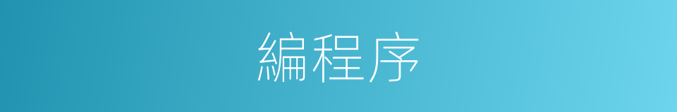 編程序的意思