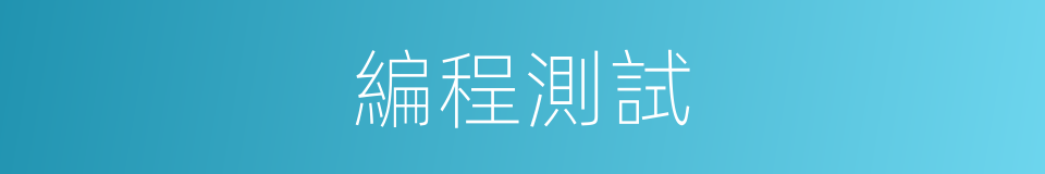 編程測試的同義詞