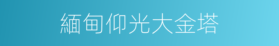 緬甸仰光大金塔的同義詞