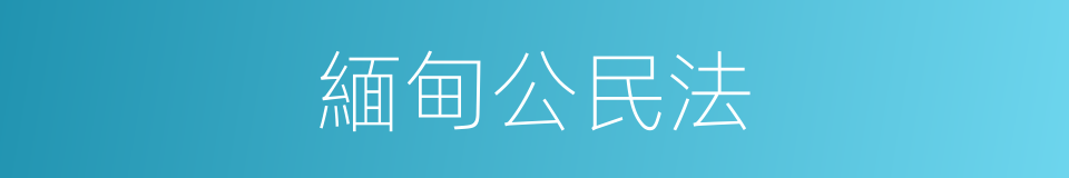 緬甸公民法的同義詞