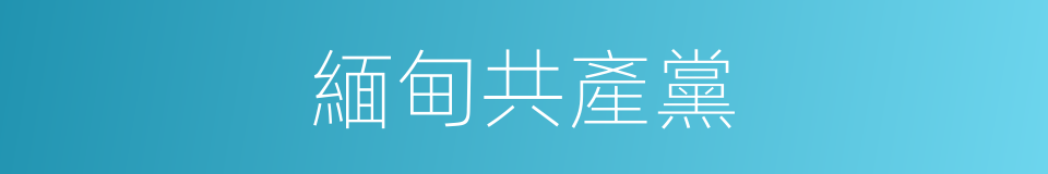 緬甸共產黨的同義詞