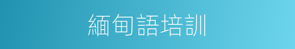 緬甸語培訓的同義詞