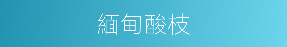 緬甸酸枝的同義詞