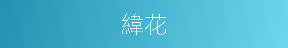緯花的同義詞