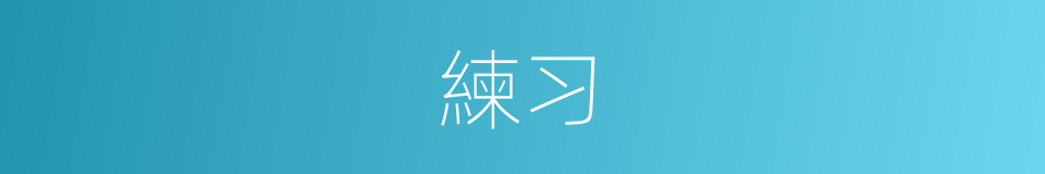 練习的意思