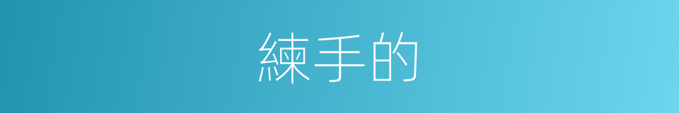 練手的的同義詞