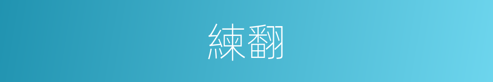 練翻的同義詞