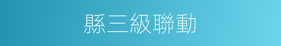 縣三級聯動的同義詞