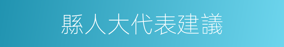 縣人大代表建議的同義詞