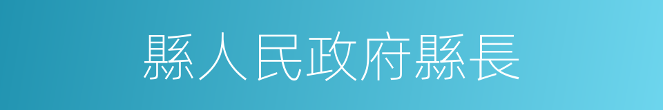 縣人民政府縣長的同義詞