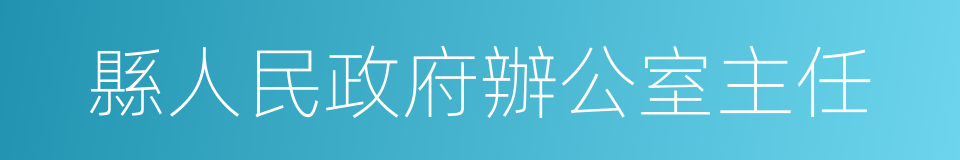 縣人民政府辦公室主任的同義詞