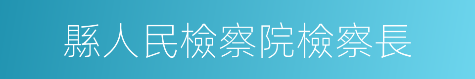 縣人民檢察院檢察長的同義詞