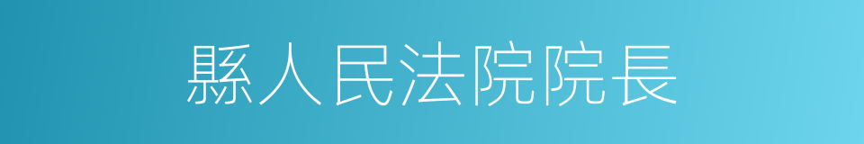 縣人民法院院長的同義詞