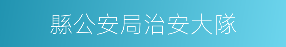 縣公安局治安大隊的同義詞