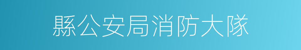 縣公安局消防大隊的同義詞