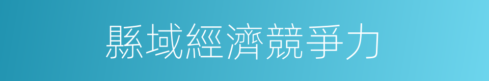 縣域經濟競爭力的同義詞