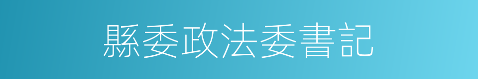 縣委政法委書記的同義詞