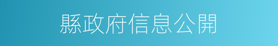 縣政府信息公開的同義詞