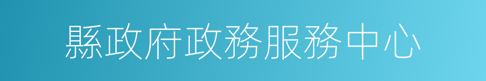 縣政府政務服務中心的同義詞