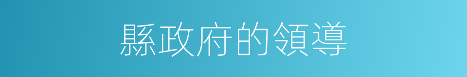 縣政府的領導的同義詞