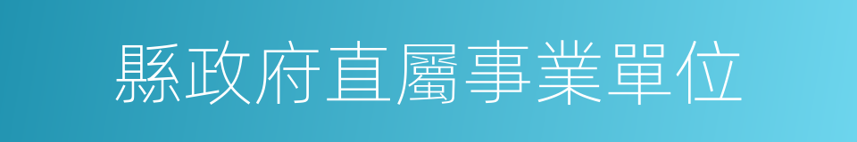 縣政府直屬事業單位的同義詞